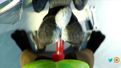 Furry yiff zootopia